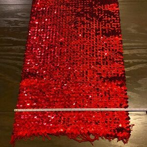 30x12” stretch sequin fabric